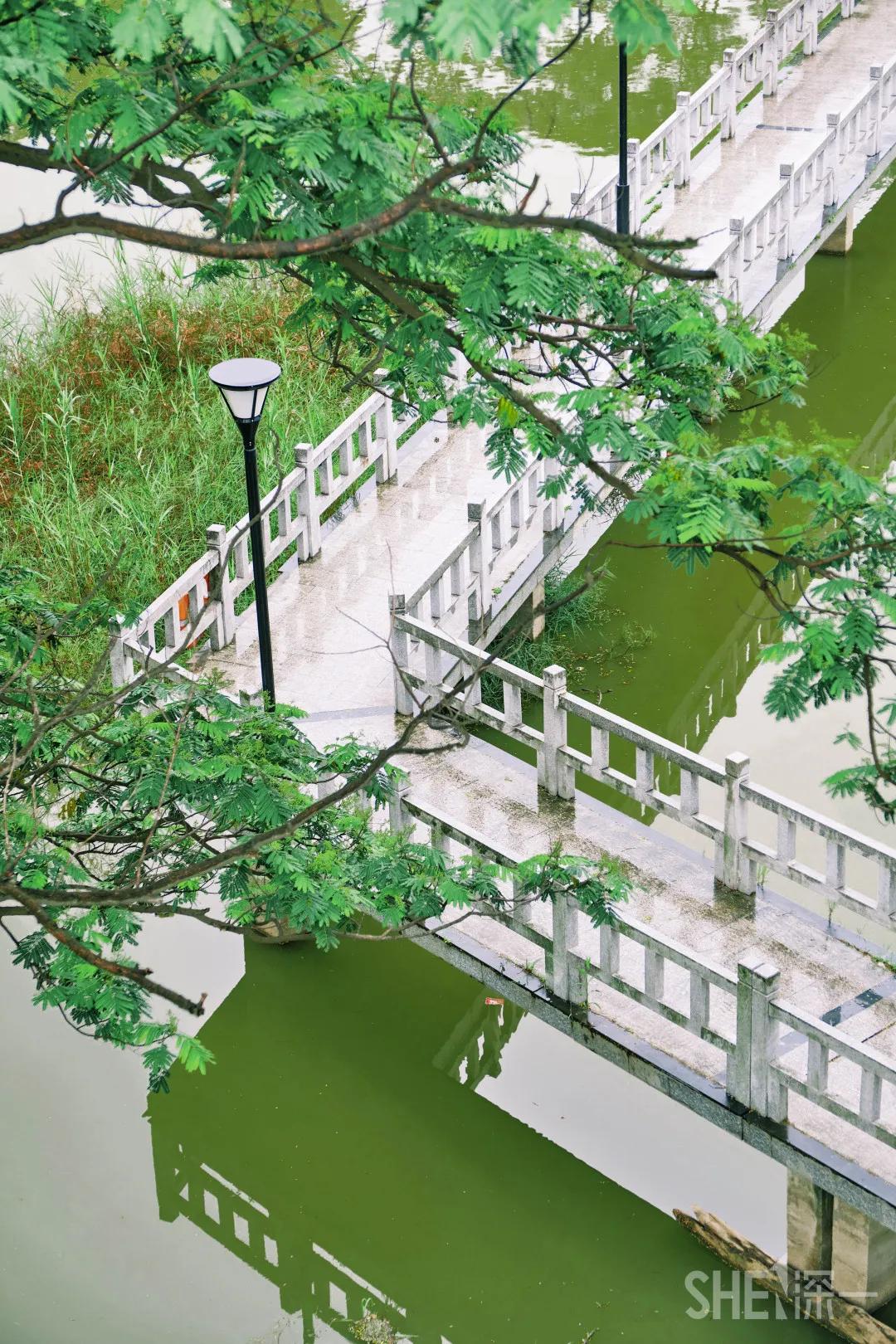 深圳八大绝美公园,山水公园深圳