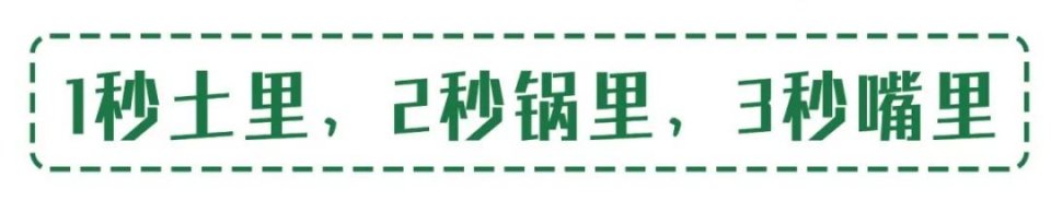 把菜园搬到餐厅,把菜园搬到家门口