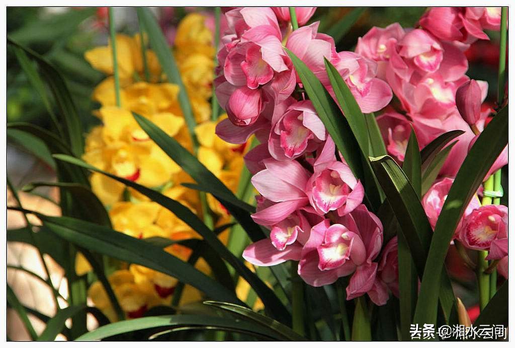 需要上夜班的职业怎么调理身体,职业病久坐腰疼怎么办