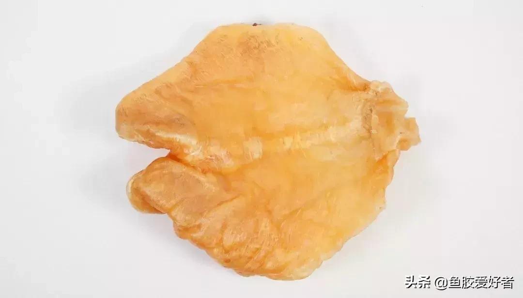 花胶最高级的做法,花胶选法