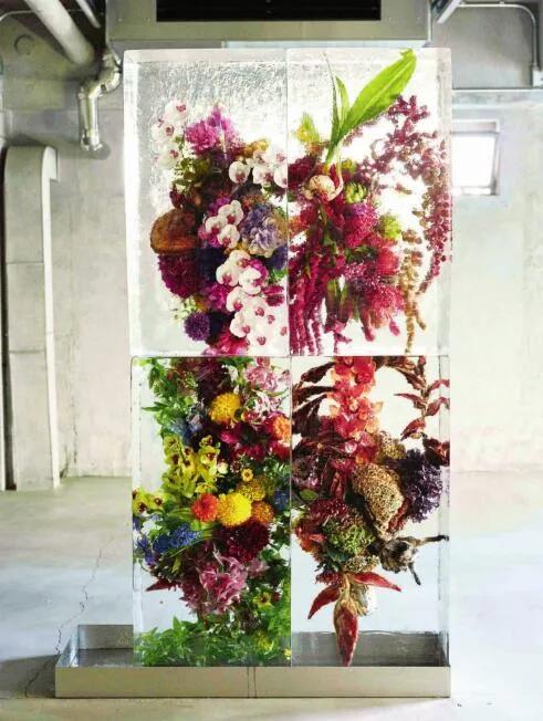 东信花卉简介,东信花树