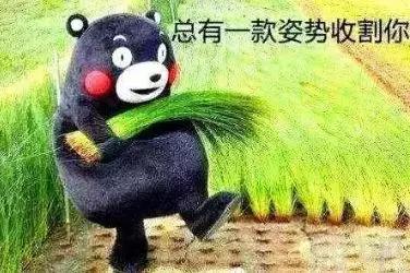 普洱茶2018年,2018普洱茶品质