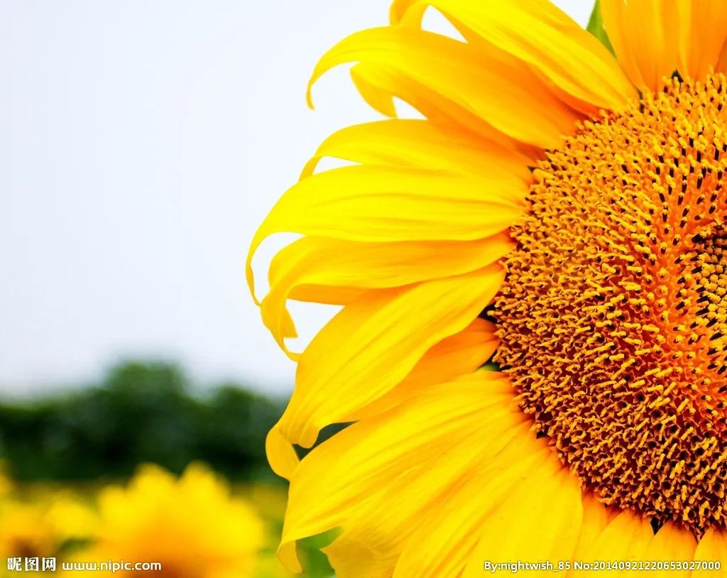 黄帝对中华文明做出的贡献,黄帝文化与三道智慧