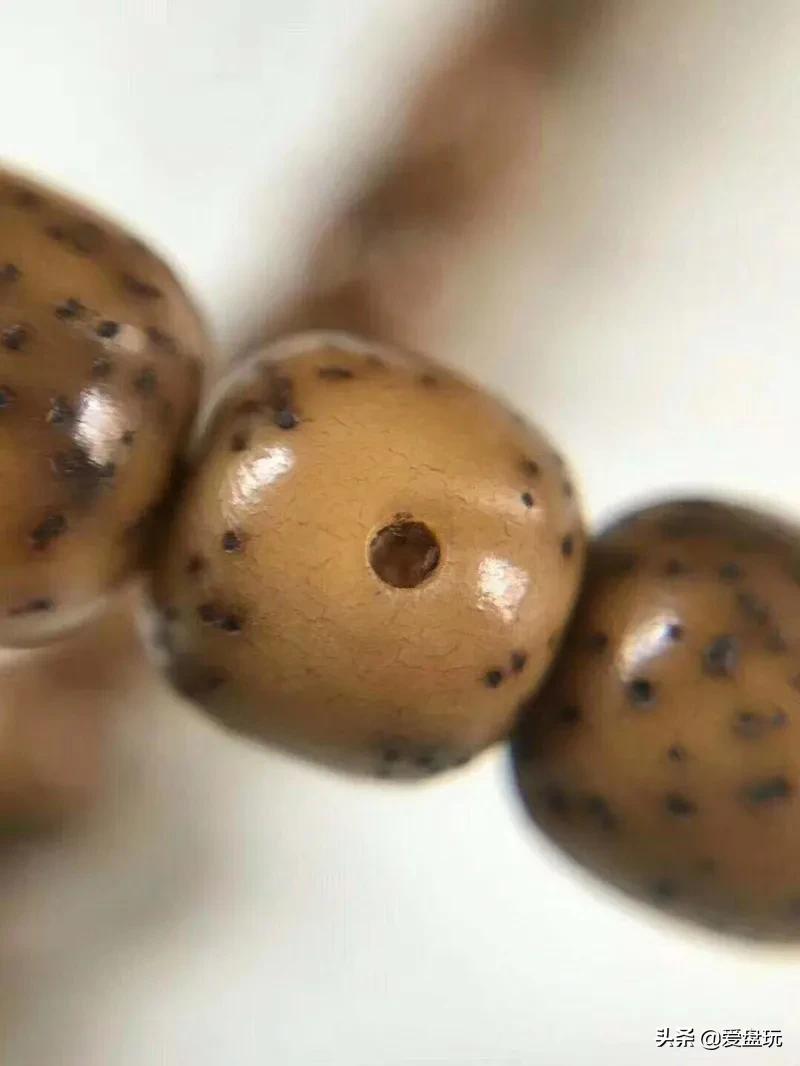 卖星月菩提高价违法么,5000块的星月菩提