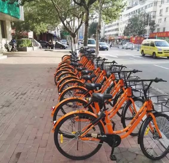 哈尔滨市有几种共享单车,哈尔滨现在有什么共享单车