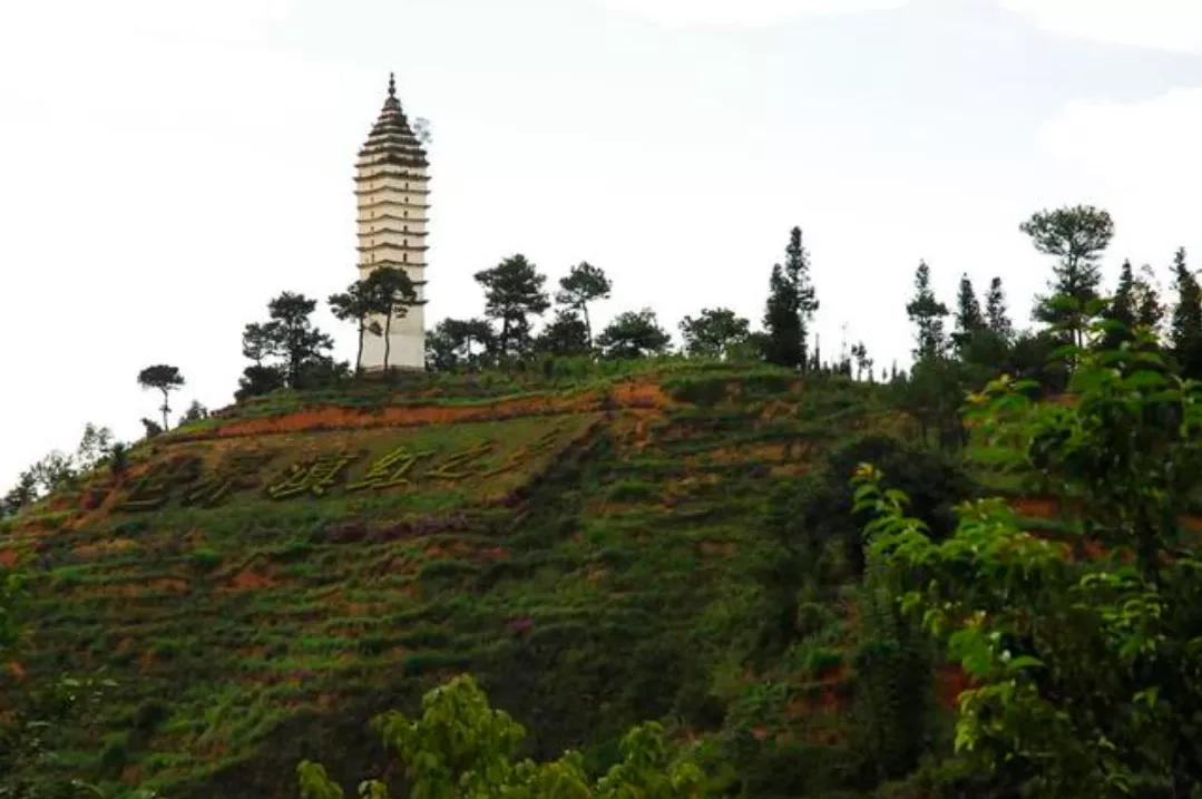 云南凤庆滇红茶哪家正宗,云南凤庆县滇红茶什么时候出