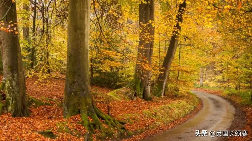 英国秋天好去处,英国秋天旅游必去的地方