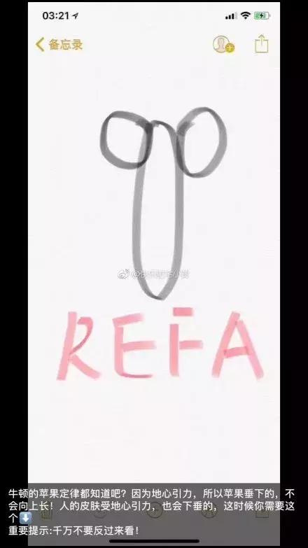 2019第一天就笑抽了！朋友圈代购集体“整容”，变身灵魂画手……