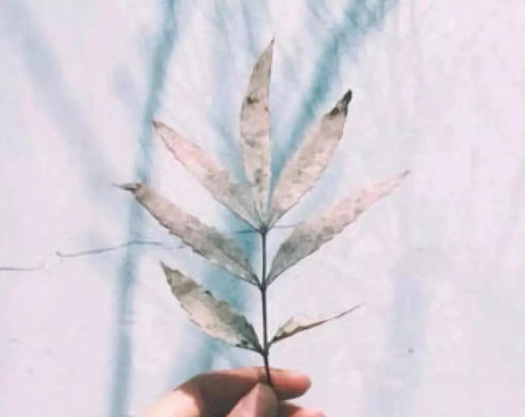 闺蜜友情句子唯美简短八个字,希望和闺蜜的友情一直下去的说说