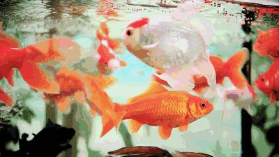 官园拆迁安置房,官园拆迁安置房拿房时间