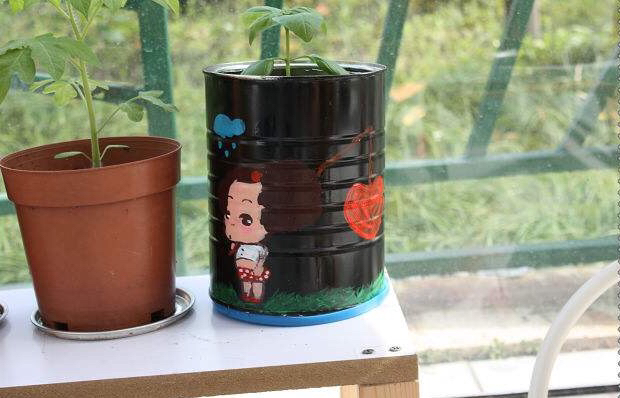 空奶粉罐种花方法,奶粉罐养花效果好吗