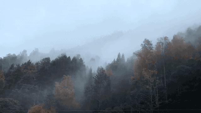 丽水的风景区,丽水最大的古城