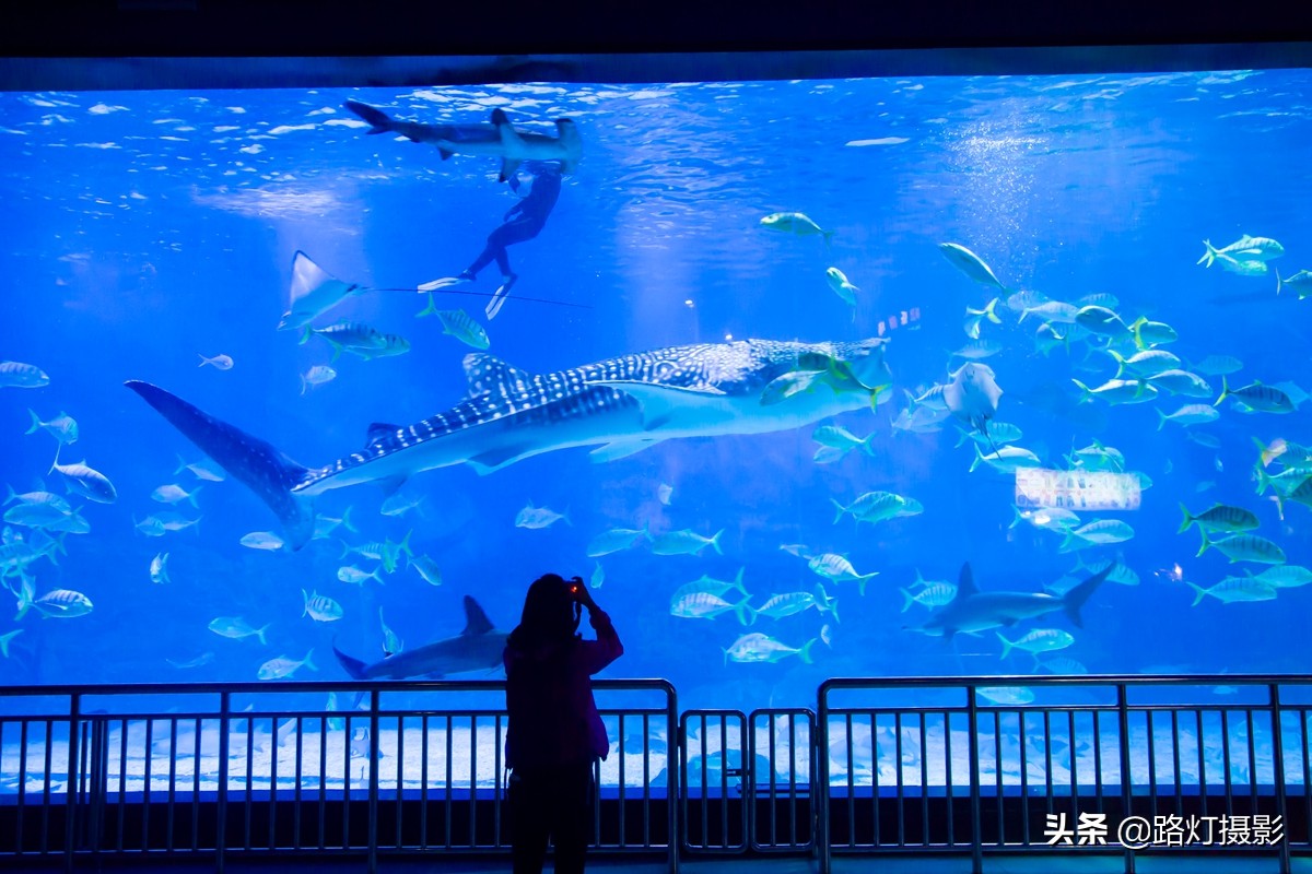 烟台最美100公里自驾游路线,烟台自驾最美山路