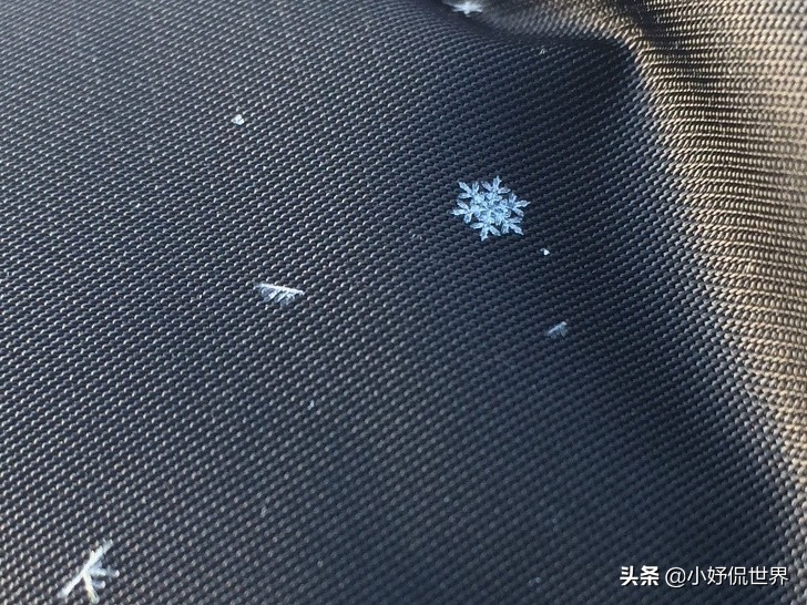 可给强迫症带来极大满足感的20张图片