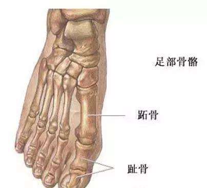 正说缠足一千年：三寸金莲如何从“贵族范儿”，变成了情色风