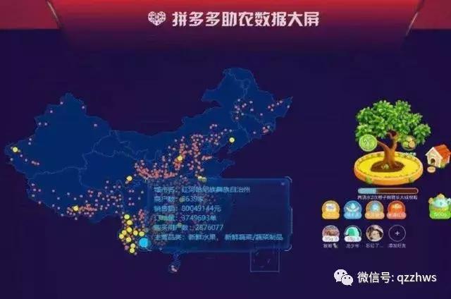 拼多多突破100万销量,2019年拼多多农产品交易额