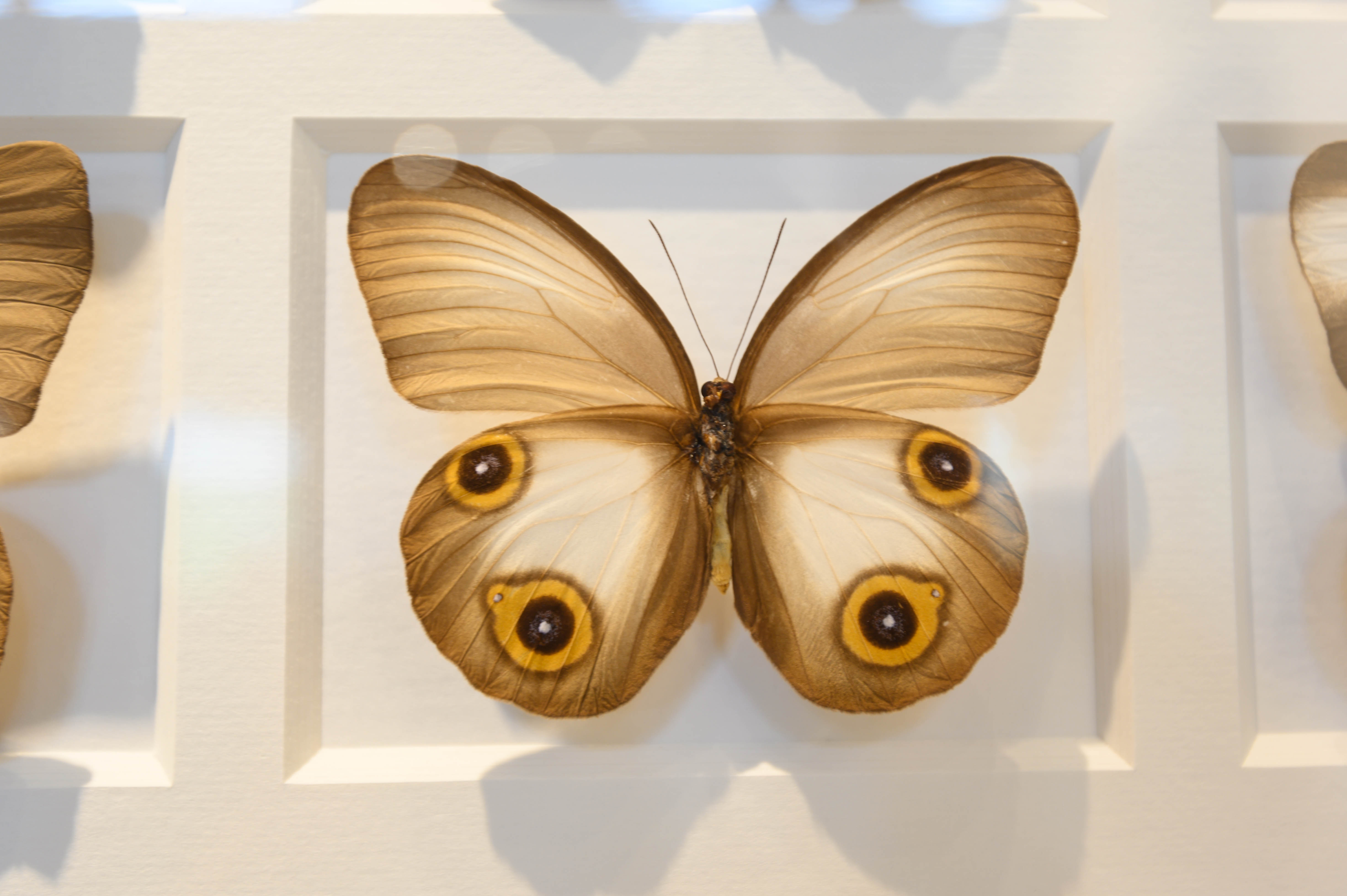 知道乌村吗，孩子来了就不愿离开，住乌村去西栅可以省150元