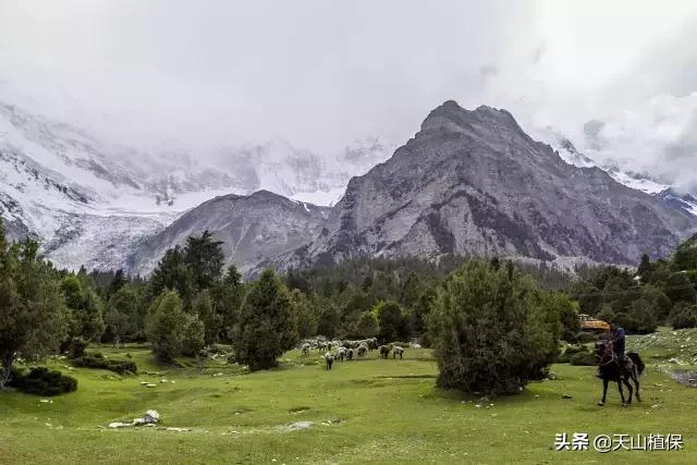 *疆新**克州,向全世界发出邀请!即将涌来大批人马