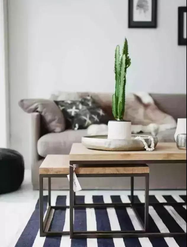 什么植物甲醛吸附好,房间里吸收甲醛的植物有哪些