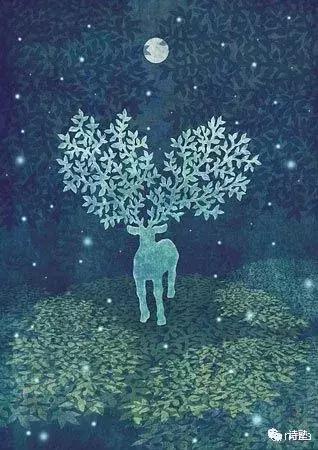 大自然的诗篇,写给大自然的一封信