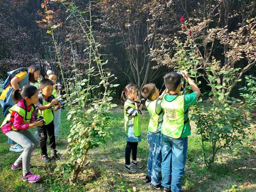 一群博士硕士,动不动“鬼混”到半夜,却干成了件人人称赞的事