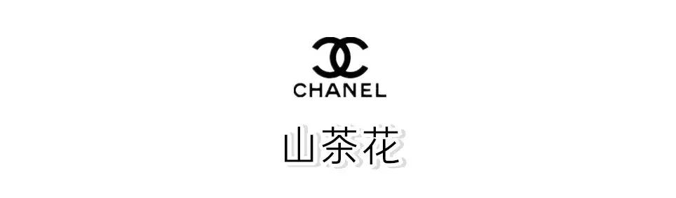 三款必买的chanel包包,chanel包包经典入门款