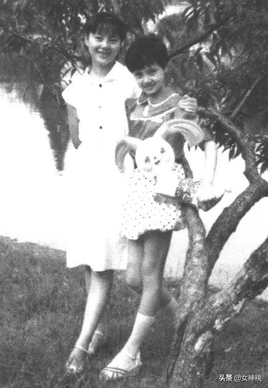 演技惊艳获章子怡点评,袁泉演技