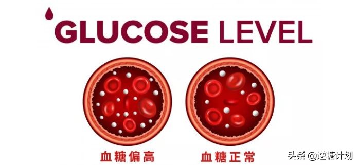 糖类和血脂的区别,糖类吃多了会引起血脂粘稠吗