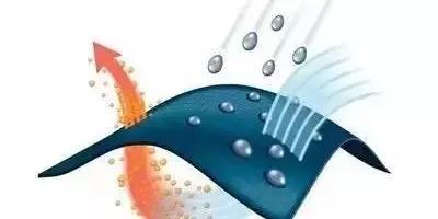 白t夏天必备单品,夏季打底白t推荐