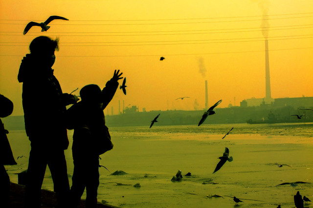 父母知道孩子生病怎么办,小孩生病了父母会怎样做