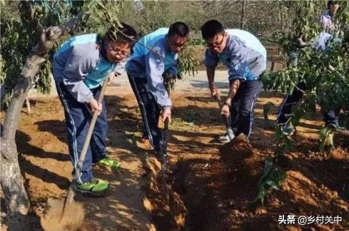 苹果套完袋要立即浇水吗,苹果套纸袋摘袋以后还能用吗
