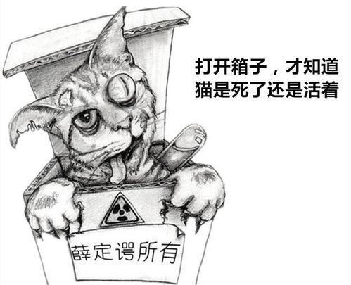 用薛定谔的猫解释量子纠缠,球状闪电量子幽灵