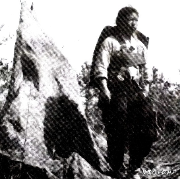 6个故事剧情完整分析,六个历史真实故事