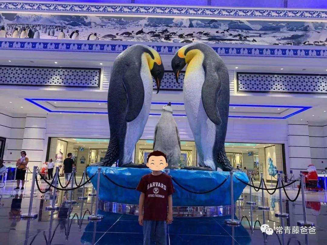 广州和珠海长隆一起玩攻略,广州珠海长隆旅游攻略5天四晚