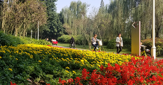 空港中央公园攻略,空港城市绿道骑行