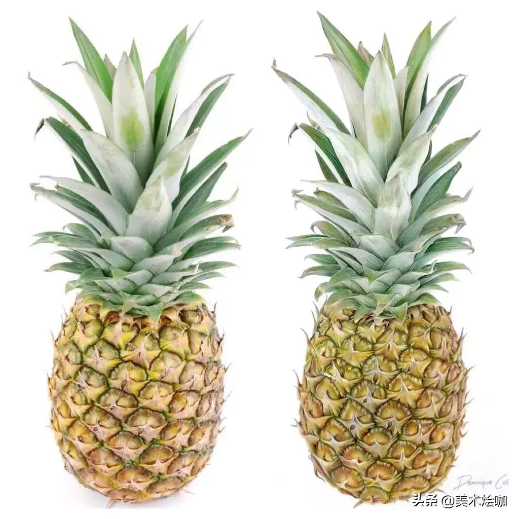 画的比照片还逼真,画的比照片还真实