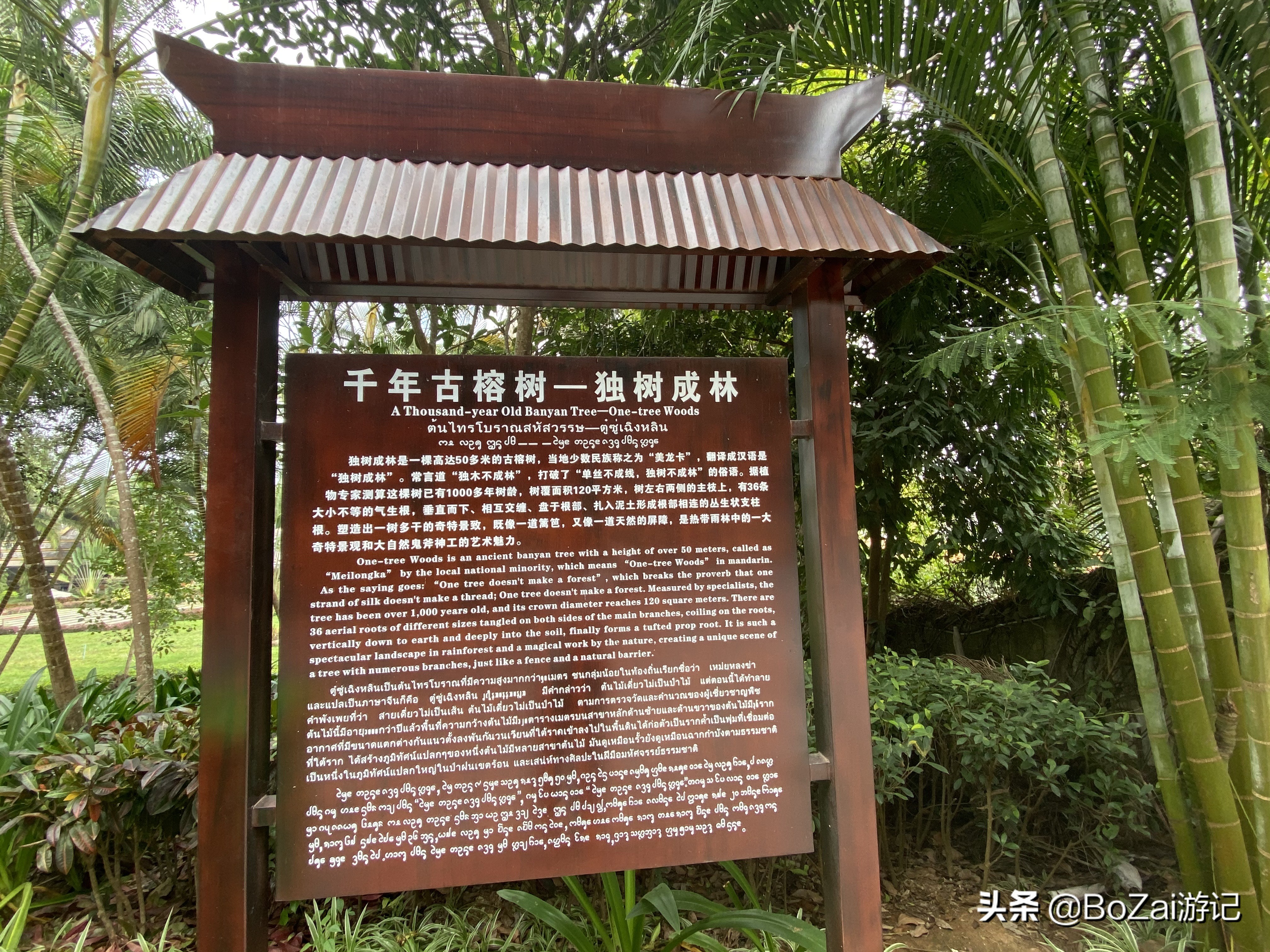 云南西双版纳到文山途经哪些景点,西双版纳适合6-12岁儿童的景点