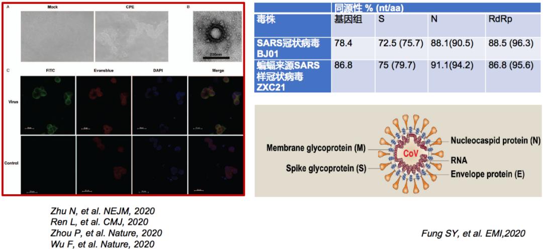 中医科学院任丽丽,任丽丽