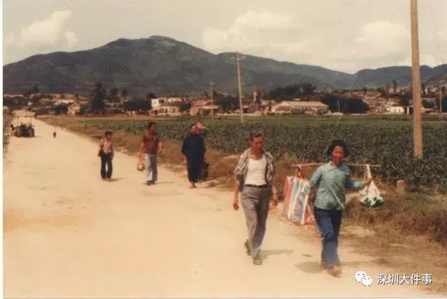 花170万建别墅后续,花200万农村自建出租房