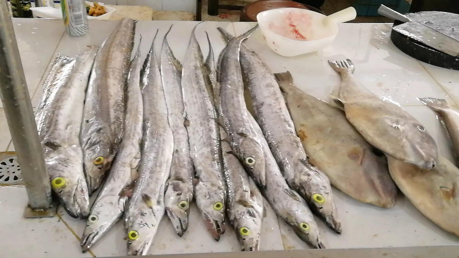 阳江海陵岛白蒲镇海鲜市场,海陵岛白蒲镇有什么好玩的地方