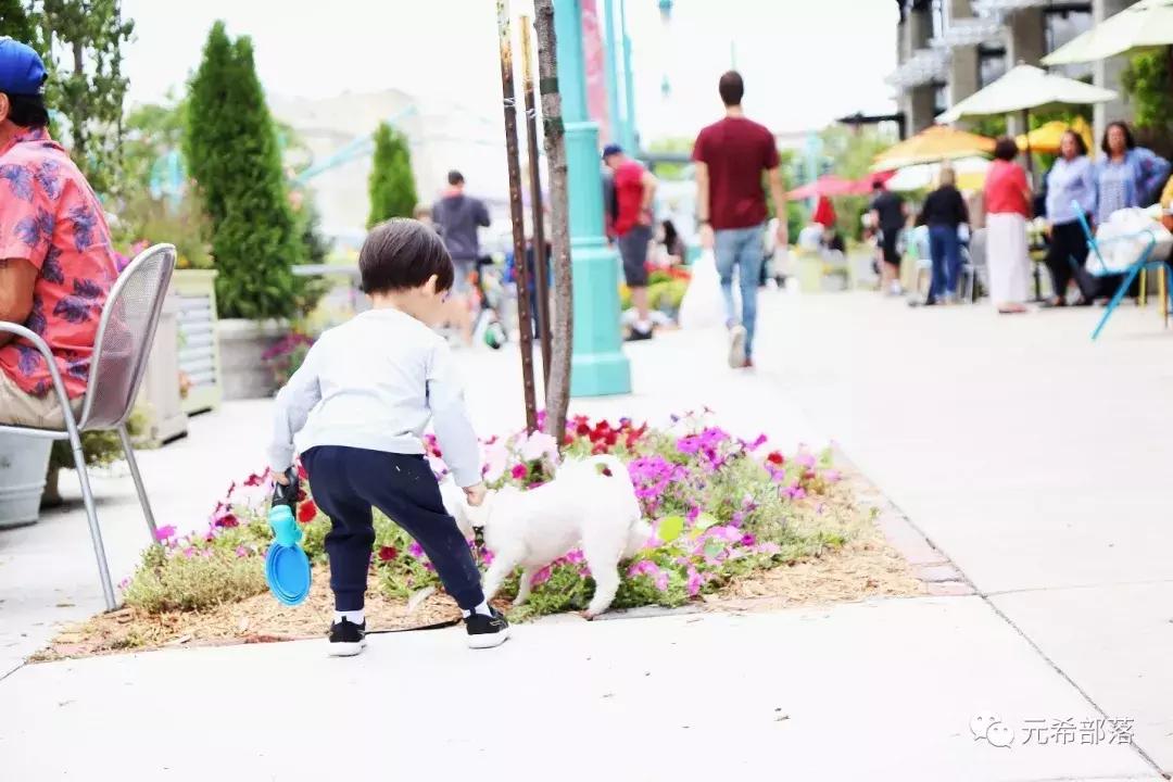 芝加哥及周边的好去处,芝加哥周边游玩