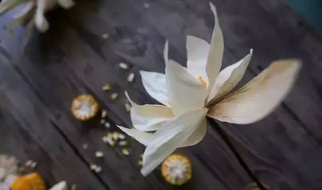 深山老林自建豪华木屋隐居生活,90后小情侣隐居深山建别墅仅花6万