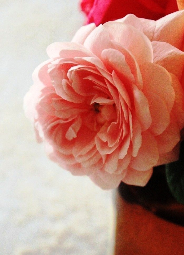 金句励志正能量人生语录大全,激励人心的句子正能量经典语录