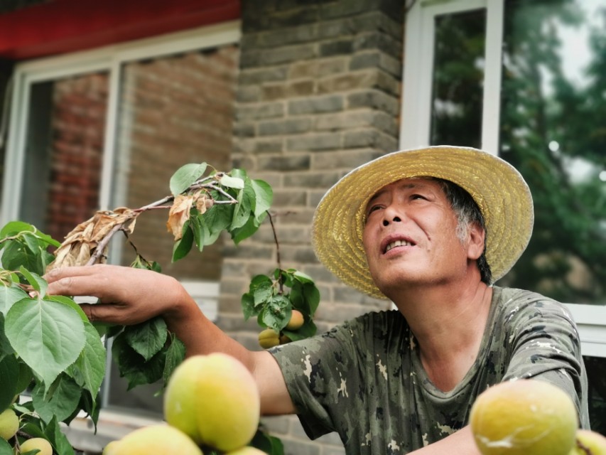 如果你害怕就说明你已经输了,如果你害怕那就意味着你已经输了