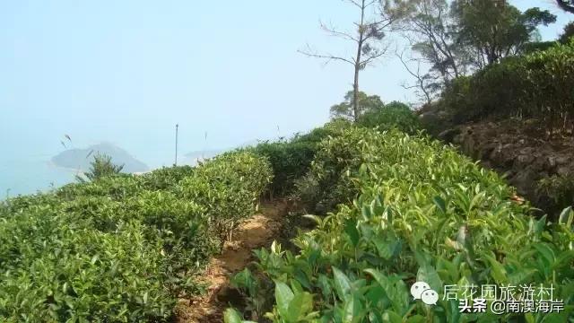 后花园旅游风景区,后花园古镇免费景点