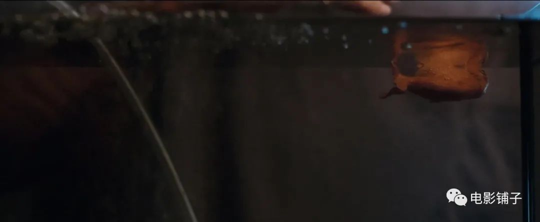 这新片你可能没听过，但这故事你一定见过