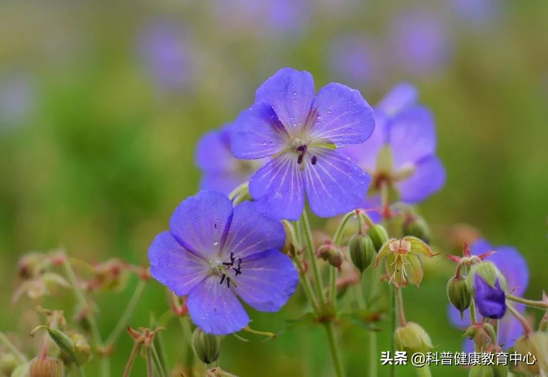 体寒怎么把寒排出去,体内有寒是先升阳还是先排寒