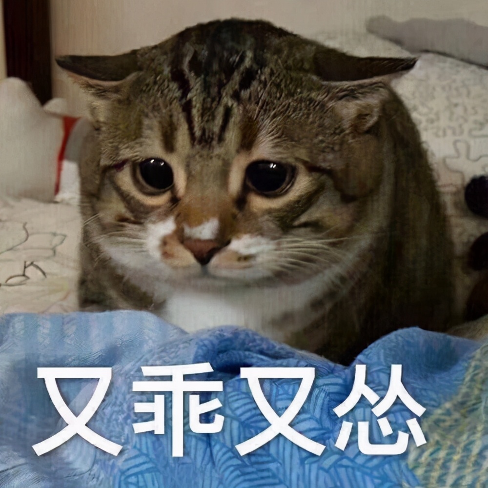 十个牙齿矫正的误区给你一一解答,矫正牙齿十大坑