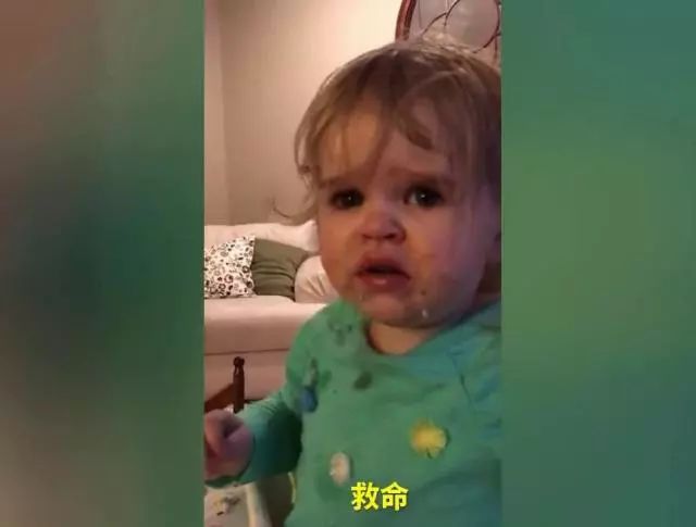 菜吧:800元一斤!据说这种菜是全世界最难种的