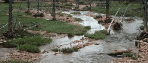 从什么上买的无人机又便宜又好 (一般人最值得买的无人机)